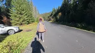 Пошли по грибы нашли чьи-то зубы