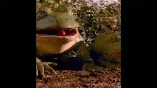 Vud Frogs Budweiser Frogs