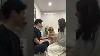 doing the 'hands in' test with my dog 😭❤️ 