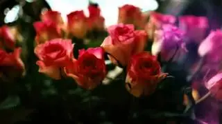 Лучшие песни на свете 2015