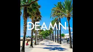 DEAMN - Sign (Audio)