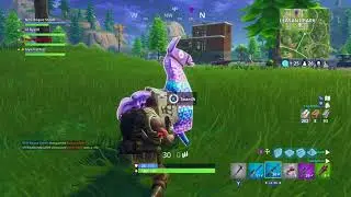 LLama Found- What Does It Give You?