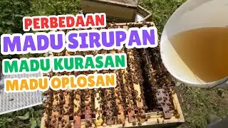 Waspada Madu Sirupan ! ini perbedaan madu sirupan , kurasan dan oplosan