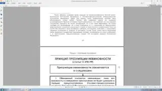 Принципы уголовного судопроизводства