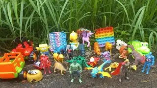 Mencari mainan di semak semak rumput SUPERHERO HEWAN HEWAN