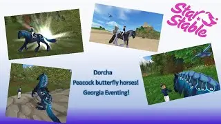 Buying The New Peacock Butterfly Horse! Dorcha! All gaits!