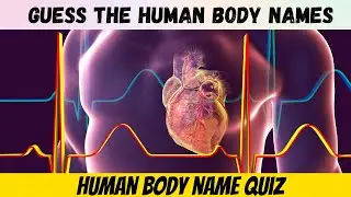 Human Body Knowledge | Parts of Body Quiz | Test Your Knowledge | Amazing quiz  | General Knowledge