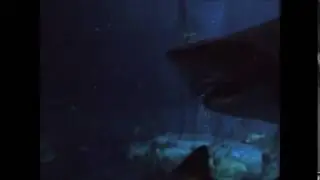 Аквариум с акулами Shark Mystique в Ocean Park, Гонконг. 2017