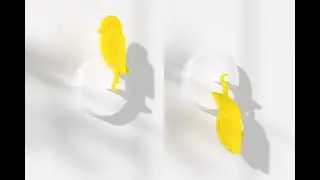 Birdie wall compilation