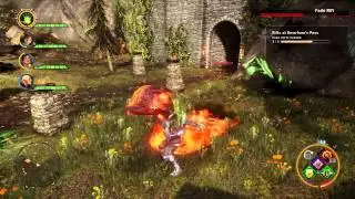 Dragon Age™  Inquisition Fast Method on Rifts