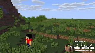 Minecraft Animation Test