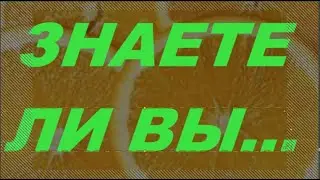 ЗНАЕТЕ ЛИ ВЫ... #SHORTS