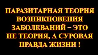 Залманов был на 100% прав.