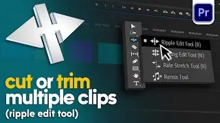 How to trim multiple clips in Premiere Pro