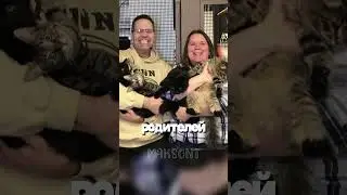 What happens if a cat is a scammer