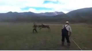 приколы 2019