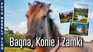 SKRAWEK ZIEMI PRZECŁAWSKIEJ I TUSZYMSKIEJ | Bagno, Koniki Polskie oraz zamki [FWV 002] #fotografia