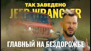 Jeep Wrangler — the Off-Road Master | That's the Way It Is #11 | Jeep Wrangler Rubicon