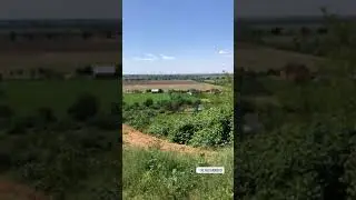 Клячаново — село в Україні, у Мукачівському районі Закарпатської області.