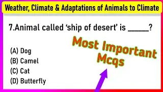 Weather, Climate and Adaptations of Animals to Climate Class 7 MCQs Questions with Answers