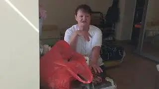 20 мая 2024 г.