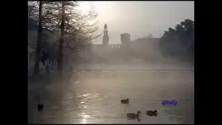 NEBBIA AL NORD