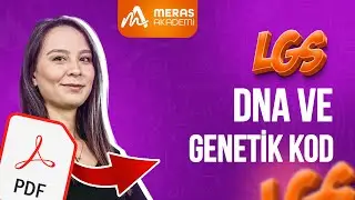 DNA ve GENETİK KOD | LGS 2025