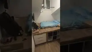 студия