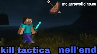 killata tactica nell'end by draghetto20cm (mc.arrowsticino.eu) MINECRAFT ITA