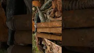 Невероятно! Нашли агитационные снаряды с листовками Вермахта! 