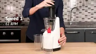 Zilan Slow Juicer - ZLN4014