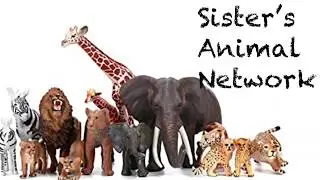 Sister Animal Network - All About Skunks