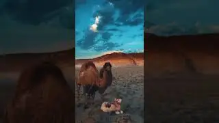 🇰🇿 Places in KAZAKHSTAN That Don't Feel Real
