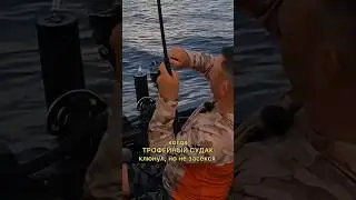 ОСТОРОЖНО, РЫБАЦКИЙ МАТ! Скоро полная версия на канале, подпишись!