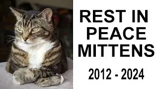 REST IN PEACE MITTENS (2012 - 2024)