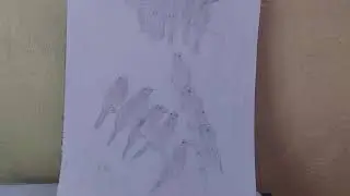 Draw birds the family life of the bird's nets