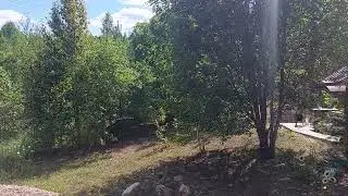 Лето... лето...