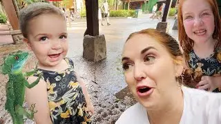 NAVEY found a LiZARD FRiEND!! Adley & Niko Ride in a Safari Truck to Find Animals on family vacation