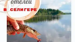 ТОП-5 отелей для рыбалки на Селигере🔥