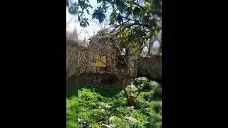 Horrible discovery in the Church of St. Nicholas in Turkey, Söke, Aydın. Aziz Nikolaos Kilisesi S...