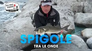 Fishing in BOLOGNESE: BEAMS IN ROUGH SEA » Sea BOLO Passion S6E2 #trabuccofishing #pescabolognese