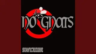 NO GNATS