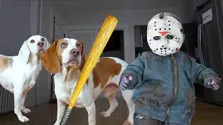 Dogs Battle Baby Jason & The Voorhees Family