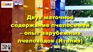 #двухматочное_содержание_пчелосемей