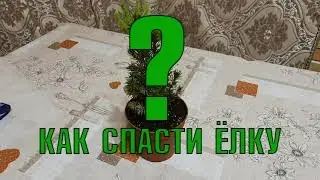 СПАСАЕМ ЁЛКИ ЗА 15 СЕКУНД