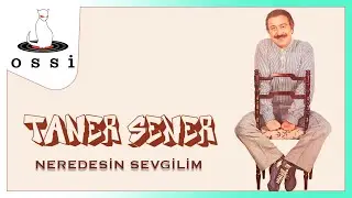 Taner Şener - Neredesin Sevgilim