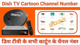 Dish TV Cartoon Channel Number | Cartoon Channel Number in Dish TV | Pogo Disney Nick Channel Number