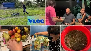 🥙Դանդուռի Թթու~Դդմիկի Մարինադ🎀Մորաքրոջս Հետ| 🌹Գնում Ենք Հյուր|  
