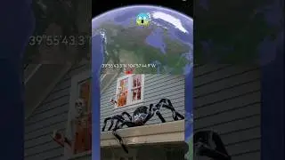 Huge spider attack on house😱 
