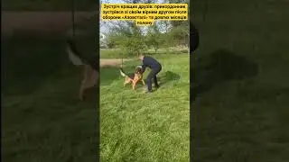Зустріч кращих друзів: прикордонник зустрівся зі своїм вірним другом після оборони «Азовсталі»